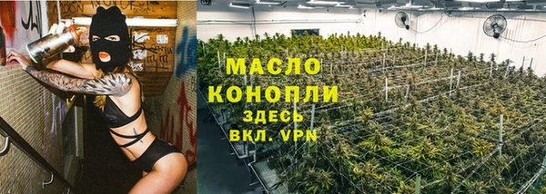 дживик Богородск