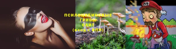 COCAINE Богданович
