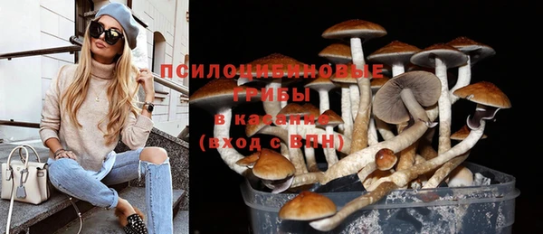 COCAINE Богданович