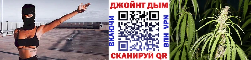 Купить  Темников  Канабис конопля 